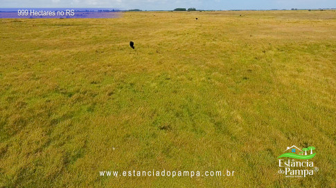 12. Levanta Velho.00_00_59_07.Quadro020_5f81d021224175c022e226fa51d112fdfdcee59d.jpg